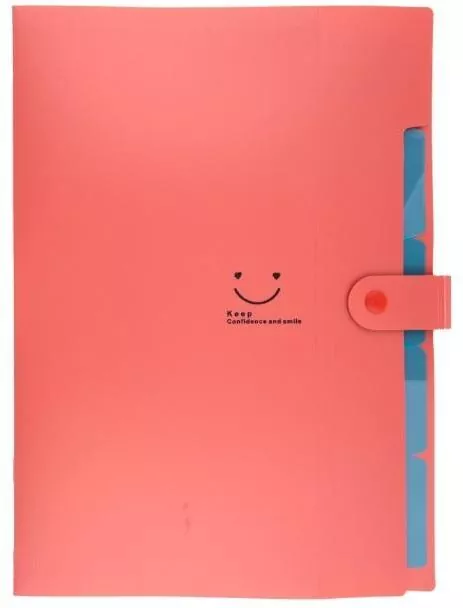 Teczka plastikowa A4 z 5 przegródkami czerwona - tantis.pl