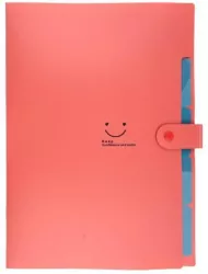 Teczka plastikowa A4 z 5 przegródkami czerwona