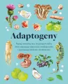 Adaptogeny - tantis.pl