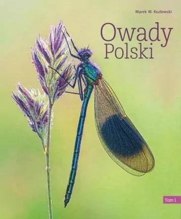 Owady Polski. Tom 1 - tantis.pl