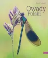Owady Polski. Tom 1 - tantis.pl