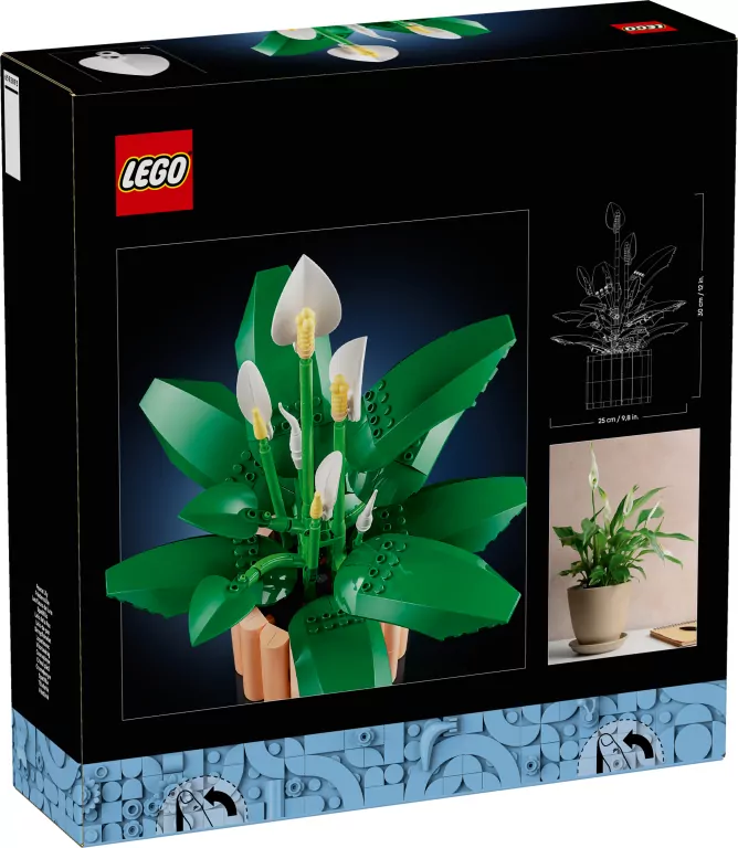 LEGO®. Botanical Collection. Skrzydłokwiat. 11504 - tantis.pl