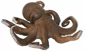 Ośmiornica - tantis.pl