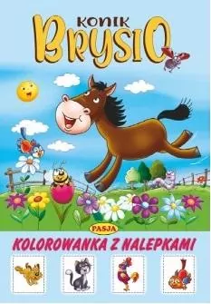 Konik Brysio - tantis.pl