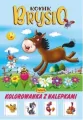 Konik Brysio - tantis.pl
