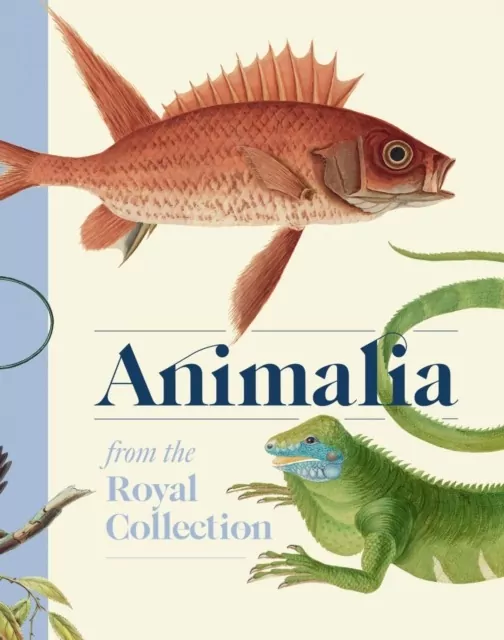 Animalia wer. angielska - tantis.pl