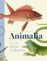 Animalia wer. angielska - tantis.pl