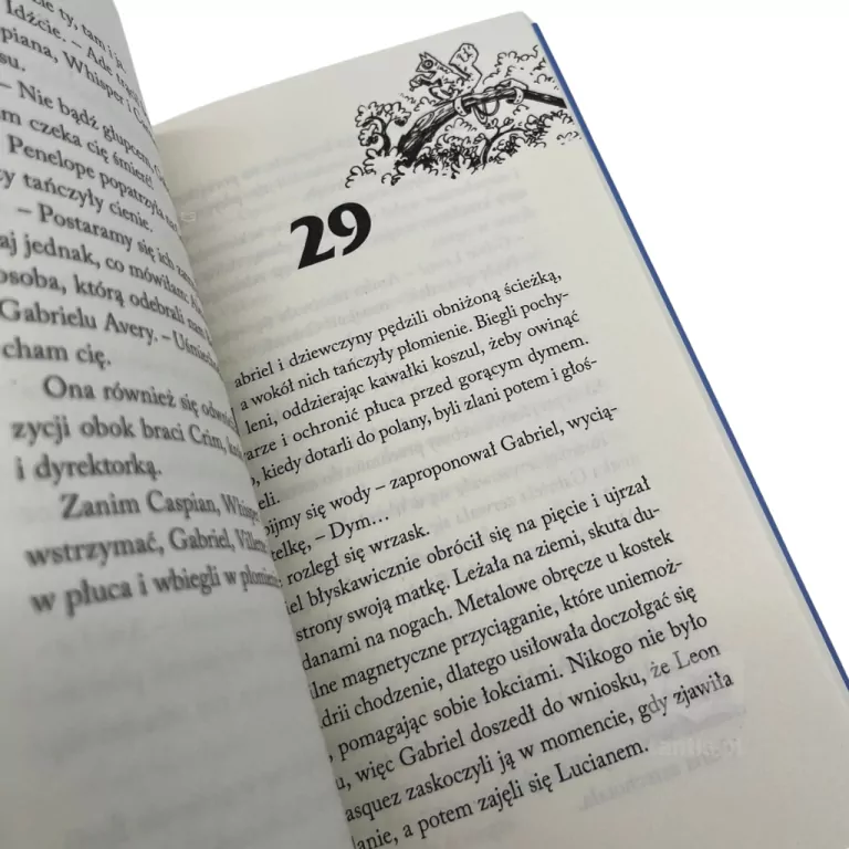 Zemsta oszustów. Akademia Crookhaven. Tom 5 - tantis.pl