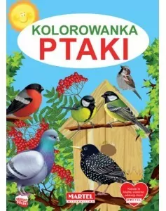 Ptaki. Kolorowanka - tantis.pl