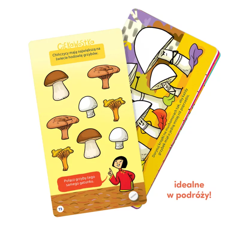 Fantastyczne gry logiczne. CzuCzu - tantis.pl