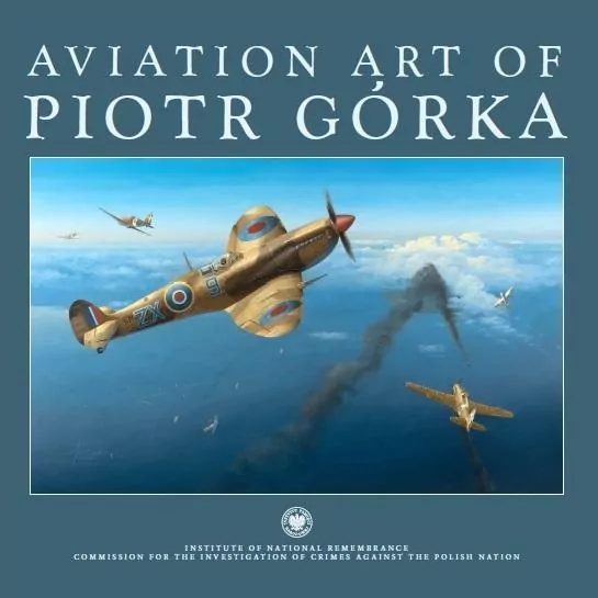 Aviation art of Piotr Górka - tantis.pl
