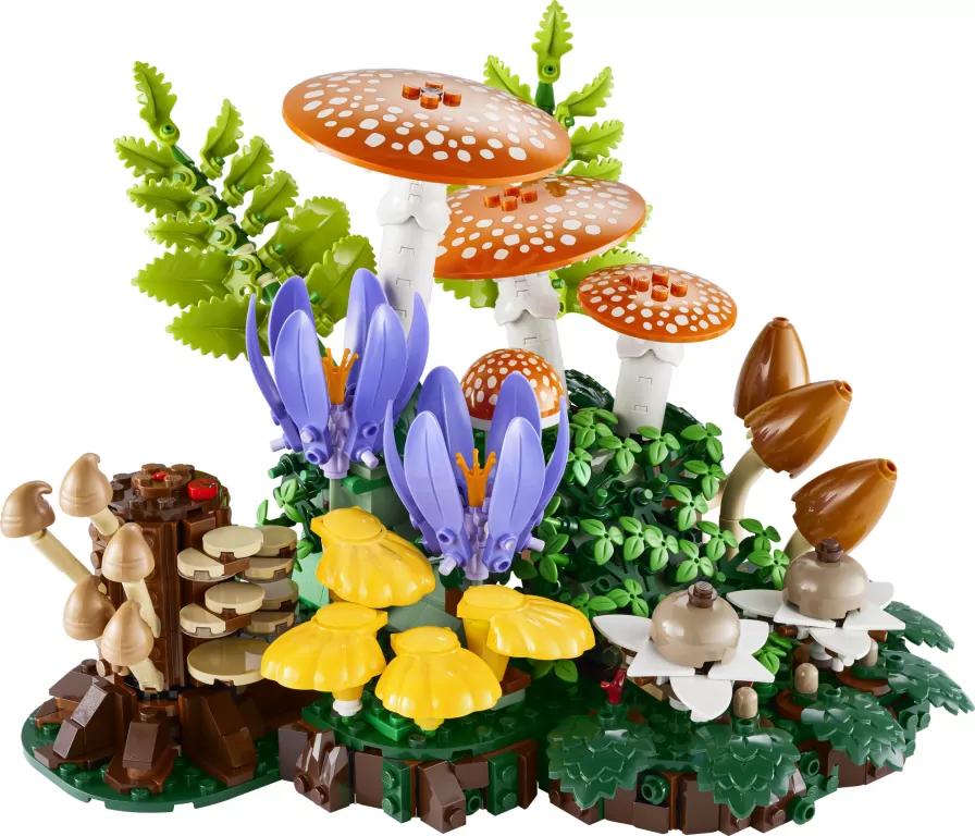 LEGO® Grzyby leśne 11505 - tantis.pl