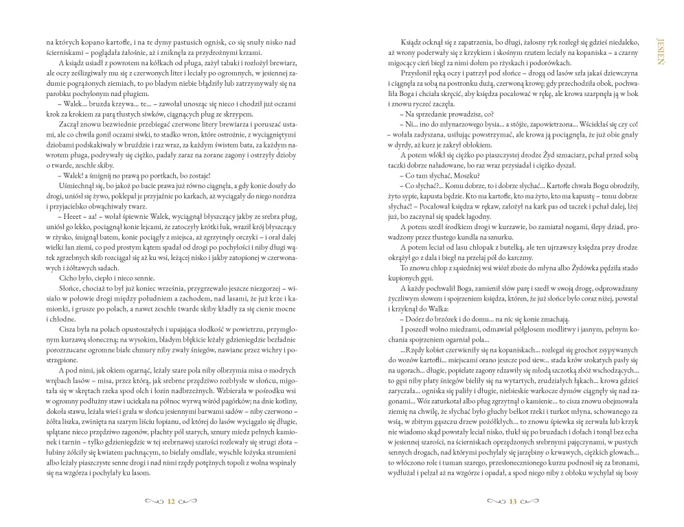 Chłopi. Wydanie kolekcjonerskie. Okładka filmowa - tantis.pl