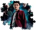 Puzzle 1000. Harry Potter. 39586 - tantis.pl