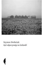 Gęsi odpoczywają na Gotlandii