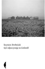 Gęsi odpoczywają na Gotlandii