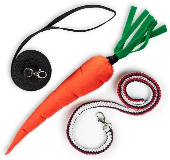 Lonża, uwiąz i marchewka - akcesoria treningowe - tantis.pl