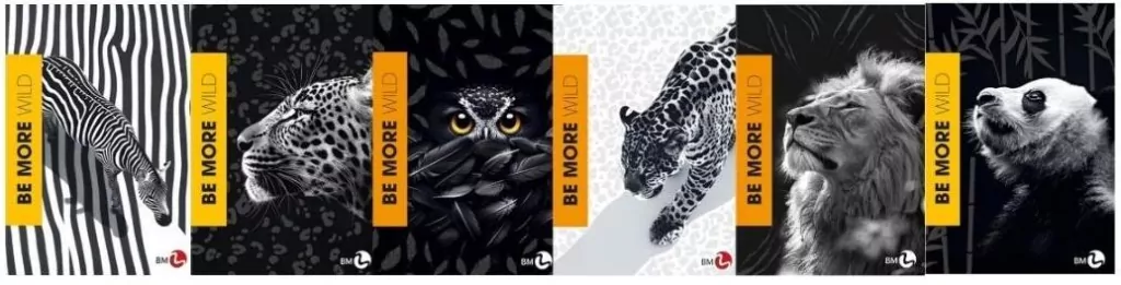 Zeszyt A4/72k linia Be More Wild (10szt) - tantis.pl