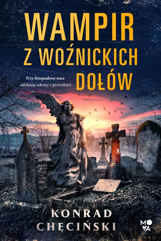 Wampir z Woźnickich Dołów wyd. kieszonkowe - tantis.pl