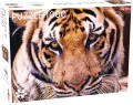 Puzzle 1000 Tygrys - tantis.pl