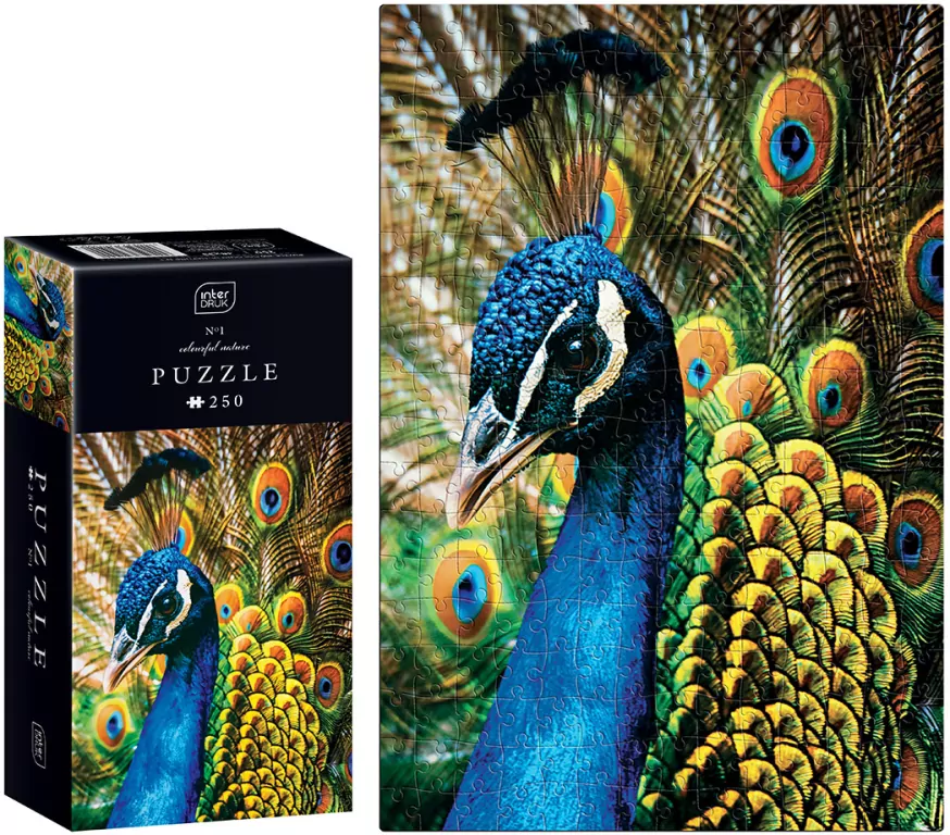 Puzzle 250. Colourful Nature. Peacock - tantis.pl