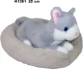 Kot w legowisku 25cm - tantis.pl