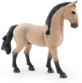 Koń Lusitano - tantis.pl