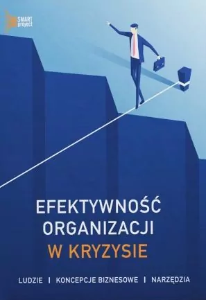 Efektywność organizacji w kryzysie - tantis.pl