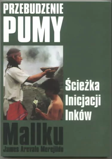 Przebudzenie Pumy. Ścieżka inicjacji Inków - tantis.pl
