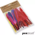 Dekoracje piórka PD-02 mix kolorów 10-15cm - tantis.pl