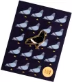 Pin gołąb miejski - tantis.pl