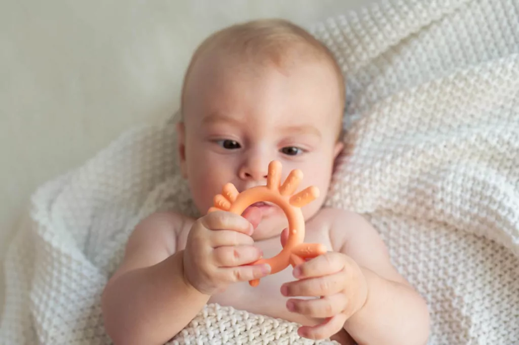 Gryzak dla dzieci Kurczak brzoskwiniowy - tantis.pl