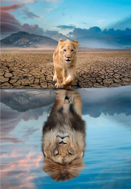 Puzzle 300 Super Self Reflection - tantis.pl