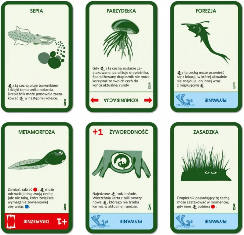 Gra Ewolucja dodatek - tantis.pl