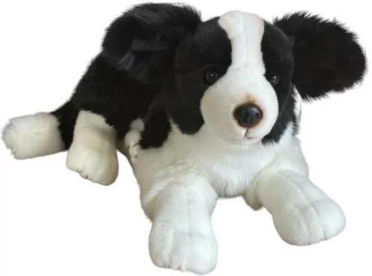 Pies Border collie 45cm