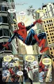 Czyż to nie bromantyczne? Spider-Man/Deadpool. Tom 1 - tantis.pl