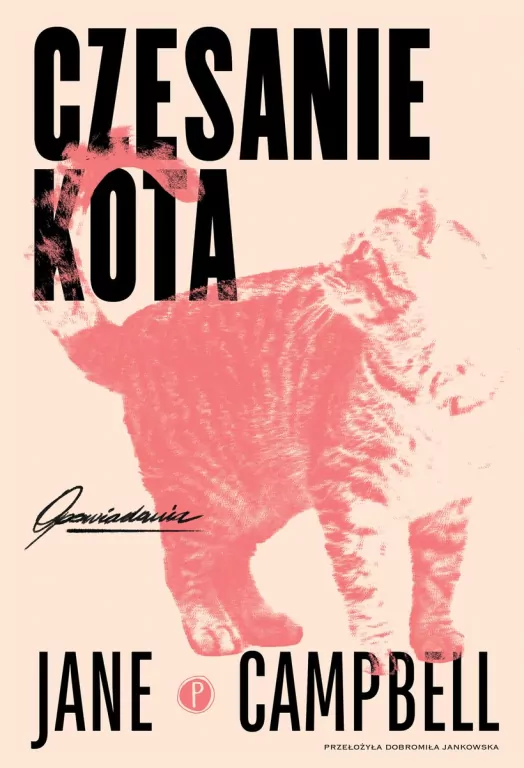Czesanie kota - tantis.pl