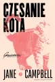 Czesanie kota - tantis.pl
