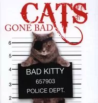 Cats Gone Bad - tantis.pl