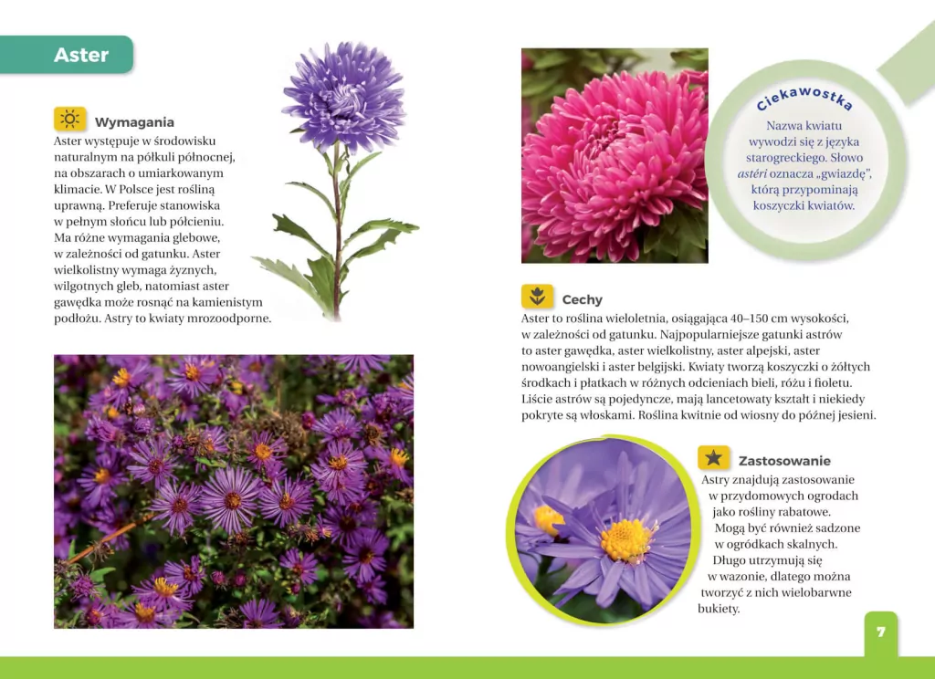 Jaki to kwiat? Atlas dla dzieci - tantis.pl