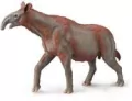Paracera Therium - tantis.pl