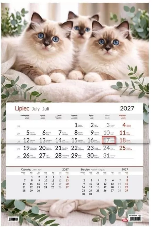 Kalendarz 2027 jednodzielny Koty - tantis.pl