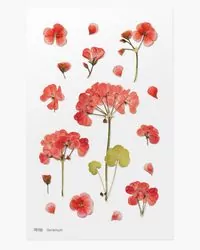 Naklejki ozdobne kwiaty - Geranium - tantis.pl