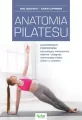 Anatomia pilatesu - tantis.pl