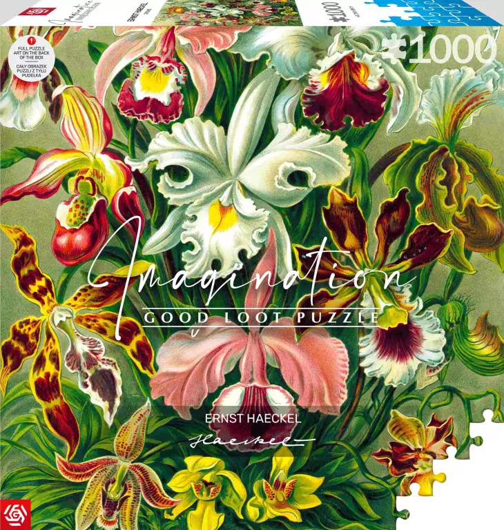 Puzzle 1000 Ernst Haeckel Orchidea / Orchid - tantis.pl