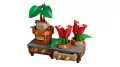 LEGO® Rośliny z lekcji zielarstwa w Hogwarcie 76474 - tantis.pl