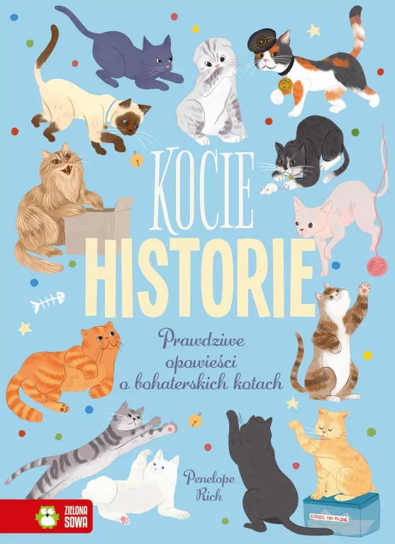 Kocie historie - tantis.pl