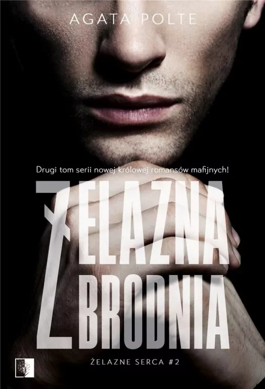 Żelazna zbrodnia. Żelazne serca. Tom 2 - tantis.pl