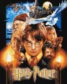 Malowanie po numerach -Harry Potter metal 40x50cm - tantis.pl