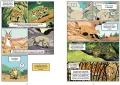 Koty. Natura i wychowanie. Naukomiks - tantis.pl